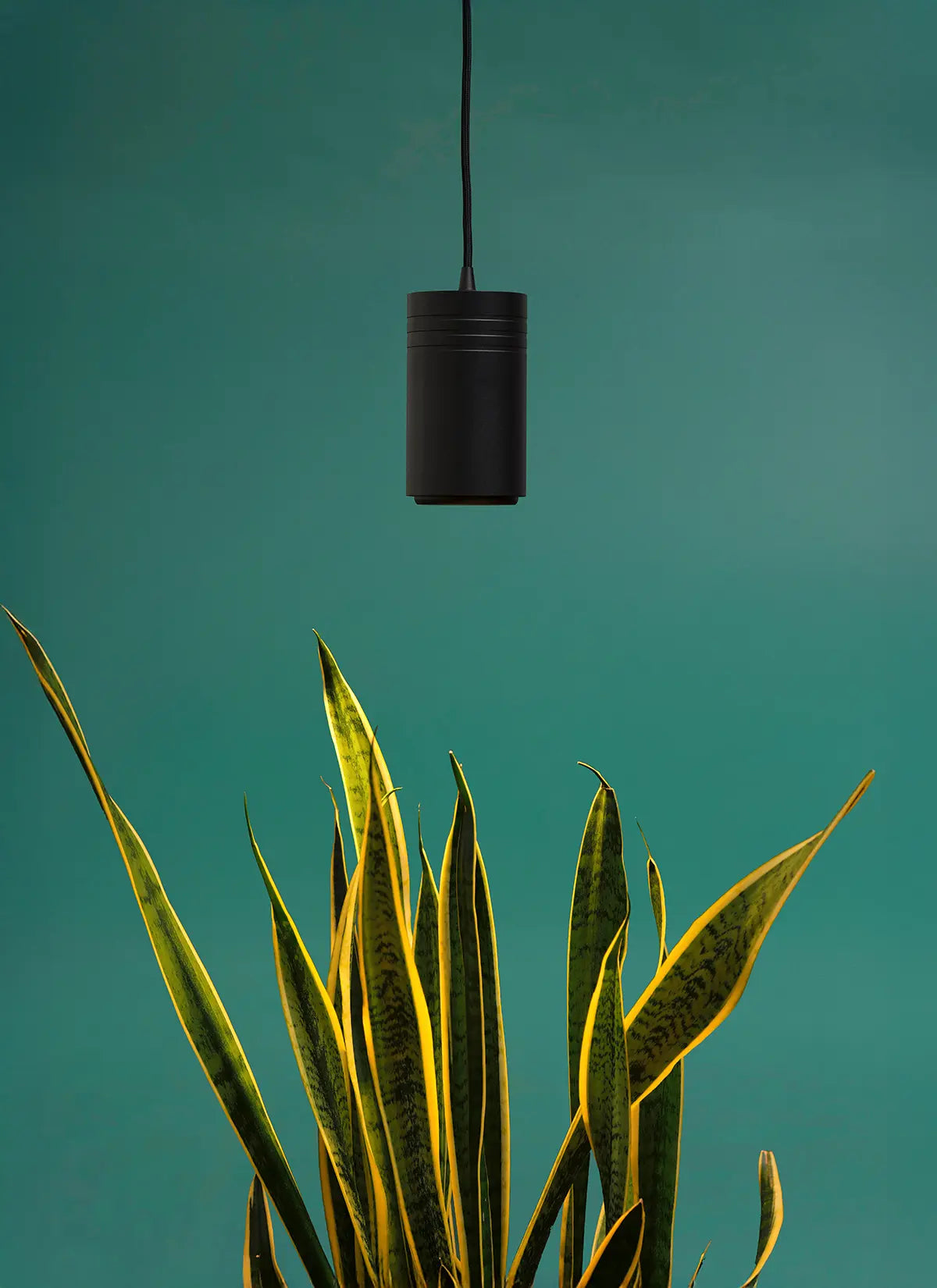 Aspect™ Gen 2 LED Growlight