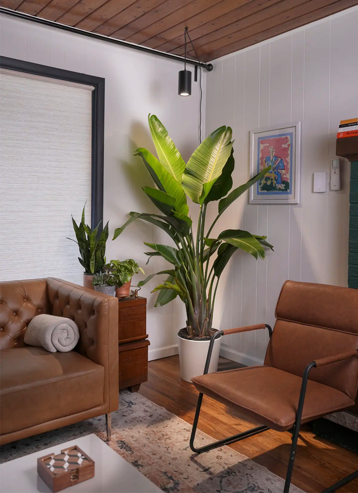 Aspect™ Gen 2 LED Growlight