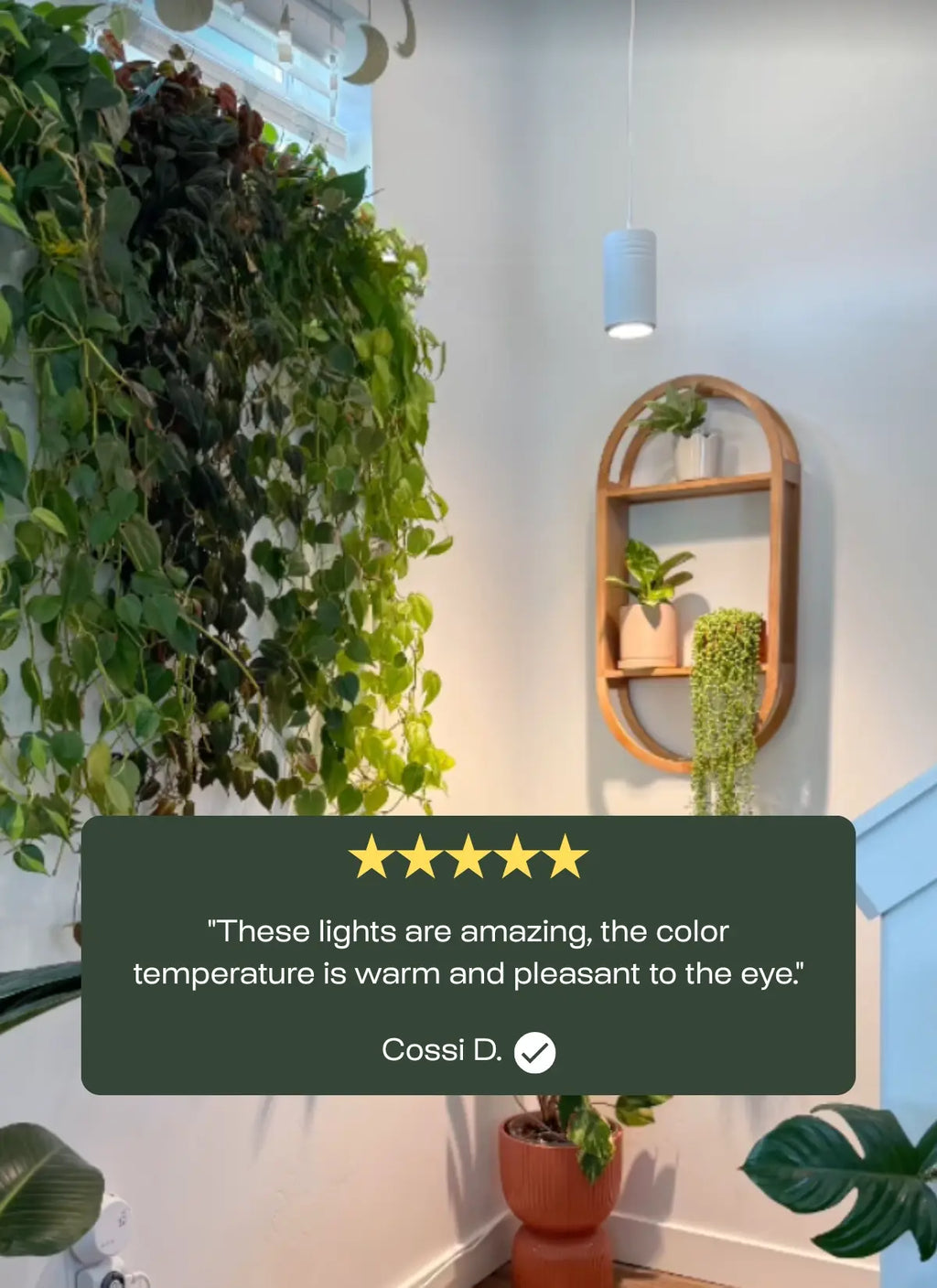 Aspect™ Gen 2 LED Growlight