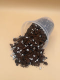 Chunky Mix - aroid potting soil with bark and pumice for monstera and philodendron