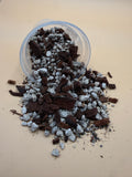 Nature House Sonoran Succulent Mix
