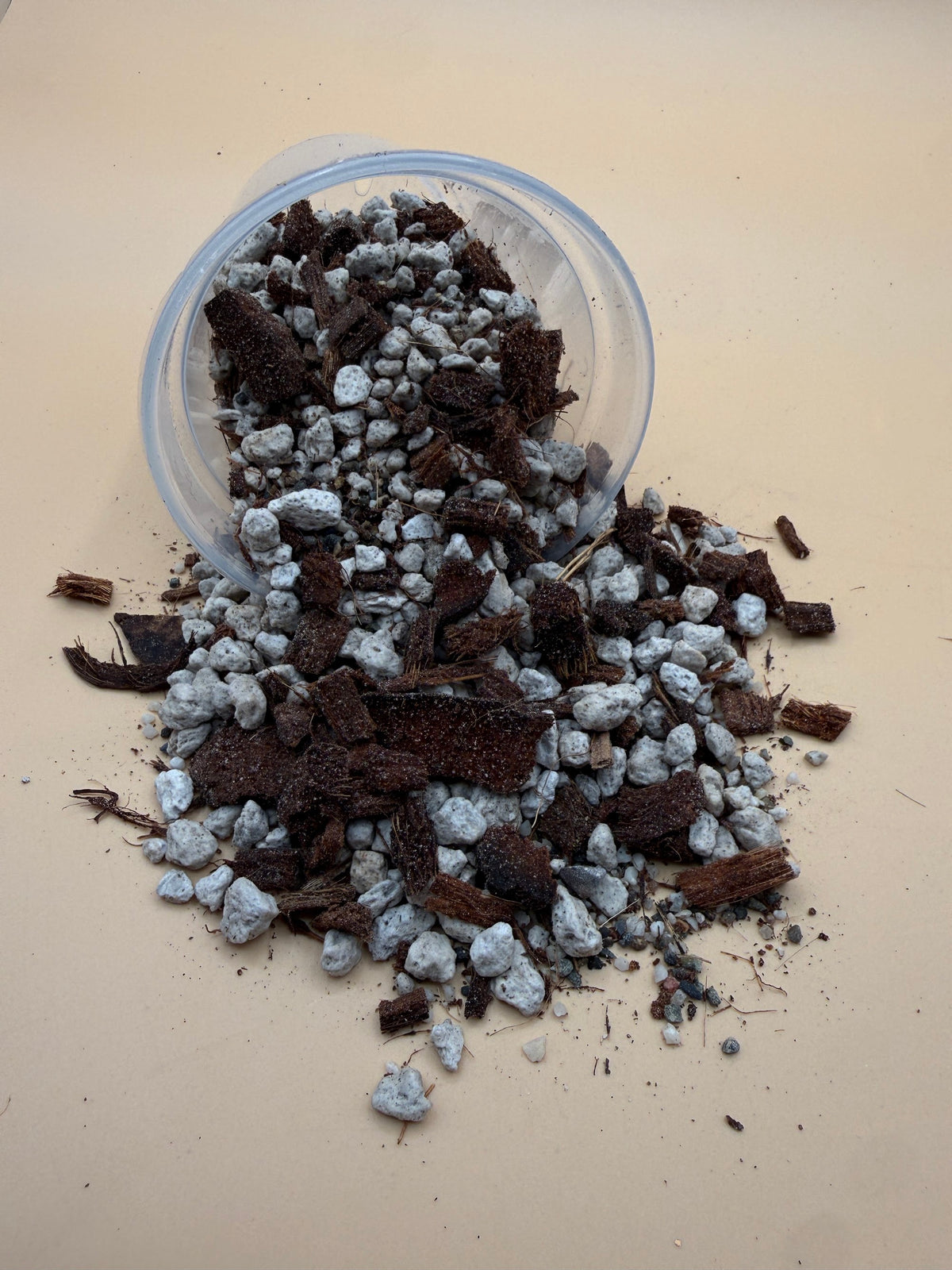 Nature House Sonoran Succulent Mix
