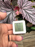 Mini Digital Hygrometer